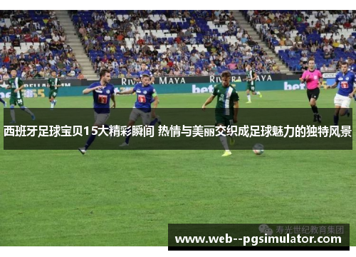 西班牙足球宝贝15大精彩瞬间 热情与美丽交织成足球魅力的独特风景