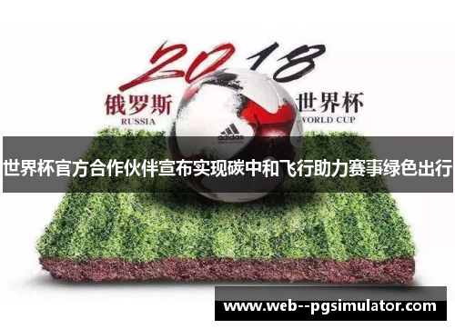 世界杯官方合作伙伴宣布实现碳中和飞行助力赛事绿色出行